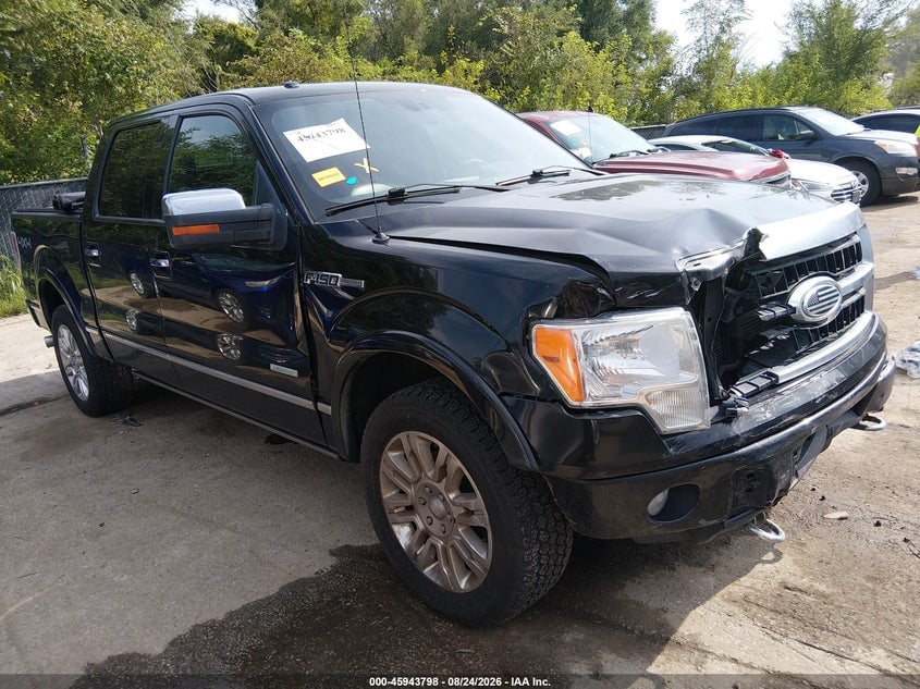 2011 FORD F-150 PLATINUM | 1FTFW1ET0BFD07248 | UPCARS