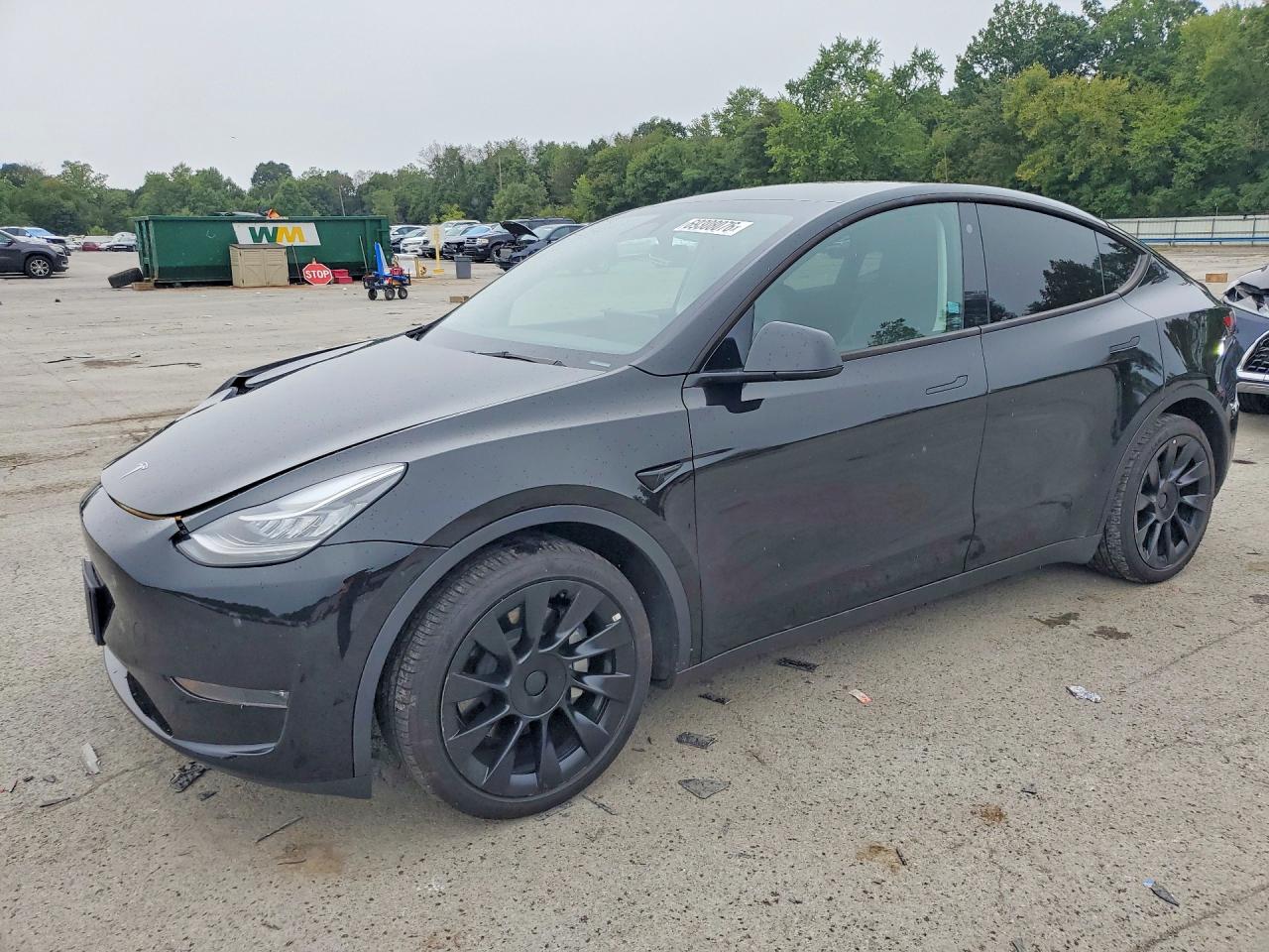 2023 TESLA MODEL Y | 7SAYGDEE3PA025819 | UPCARS