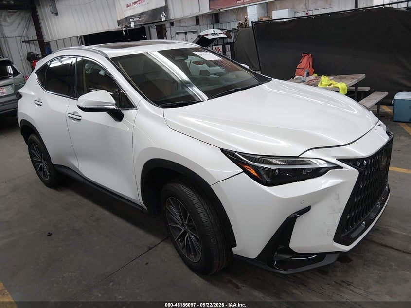 2025 LEXUS NX 250 | 2T2ADCAZ2SC028331 | UPCARS
