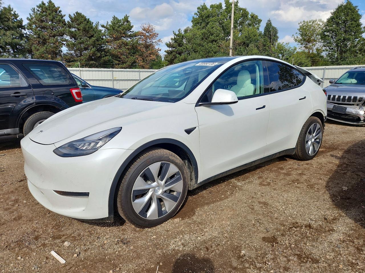 2020 TESLA MODEL Y | 5YJYGDEE8LF020898 | UPCARS