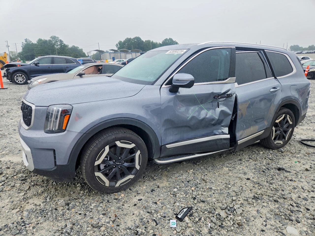 2025 KIA TELLURID EX | 5XYP34GC1SG601735 | UPCARS