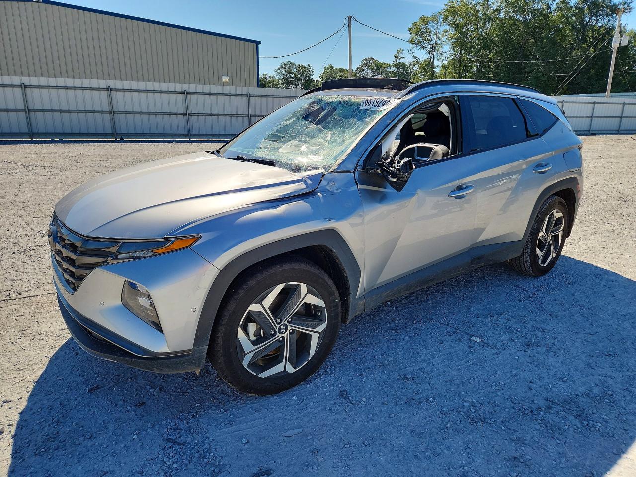 2024 HYUNDAI TUCSON LIMITED | 5NMJECDE3RH343296 | UPCARS