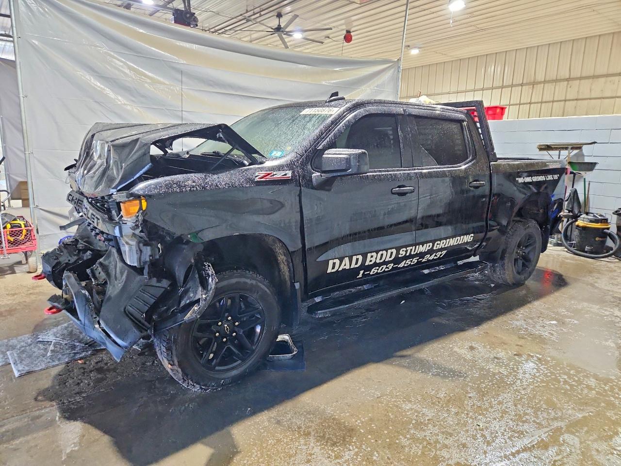 2019 CHEVROLET SILVERADO K1500 TRAIL BOSS CUSTOM | 1GCPYCEF1KZ427921 | UPCARS