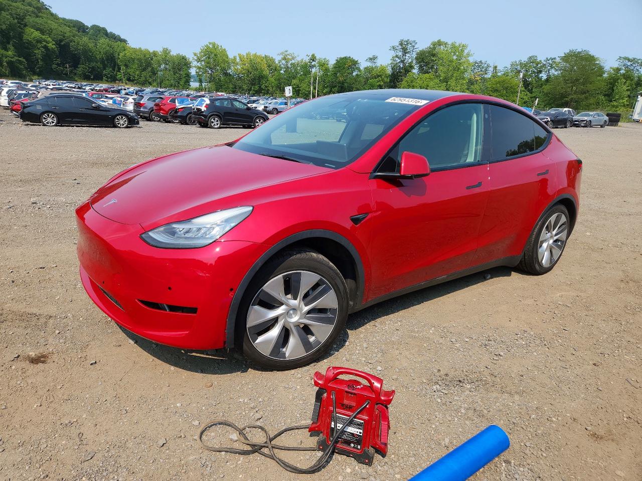 2021 TESLA MODEL Y | 5YJYGDED5MF116559 | UPCARS