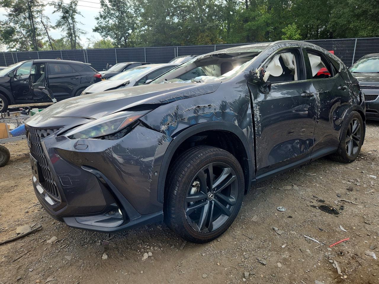 2025 LEXUS NX BASE | JTJHKCFZ4S2042809 | UPCARS