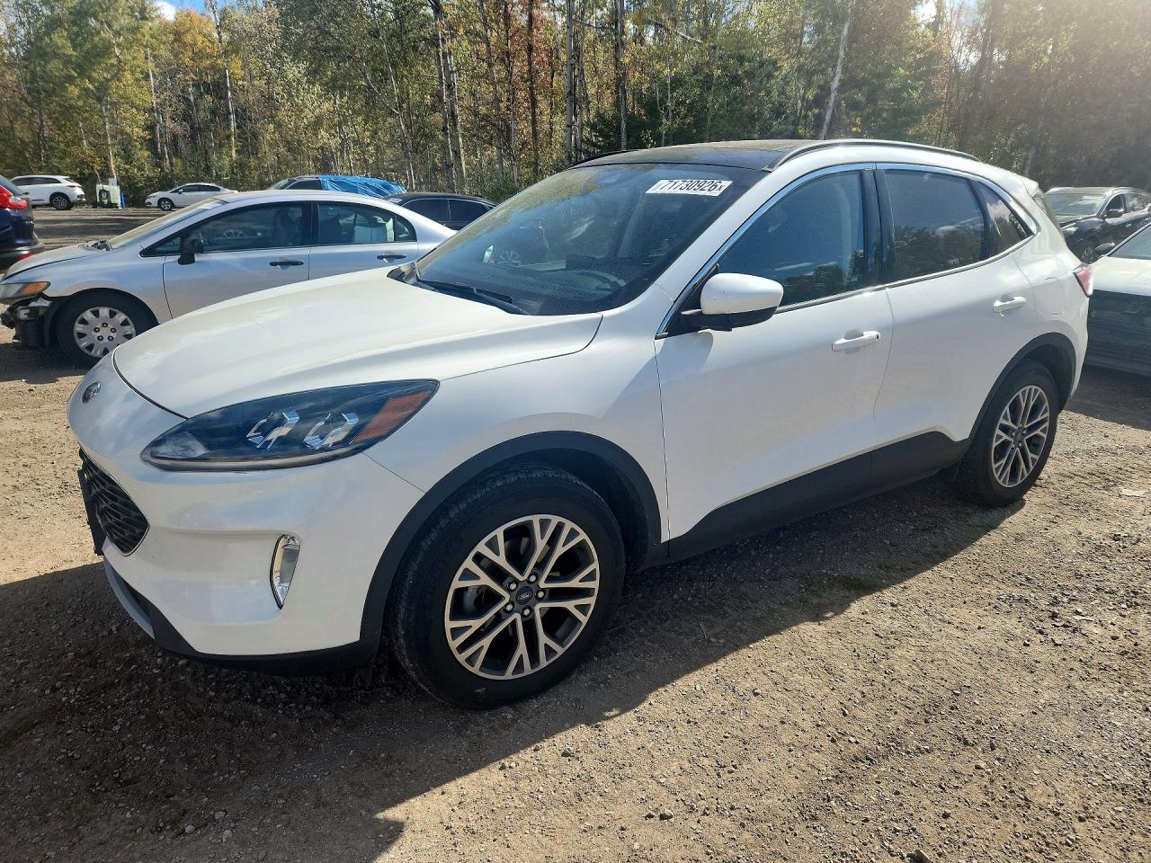 2020 FORD ESCAPE SEL | 1FMCU9H62LUB33480 | UPCARS