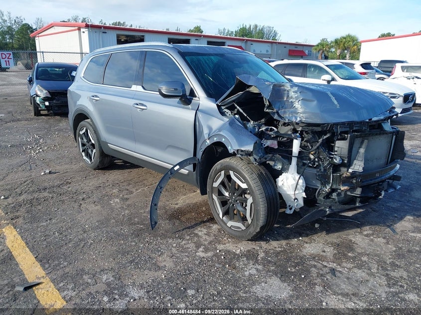 2024 KIA TELLURID EX | 5XYP34GC5RG552775 | UPCARS