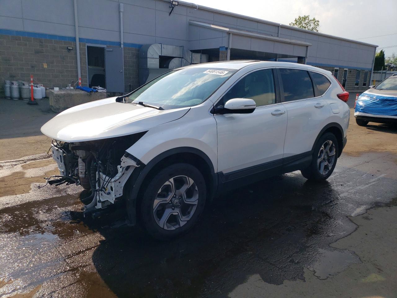 2019 HONDA CRV EXL | 2HKRW2H89KH670924 | UPCARS