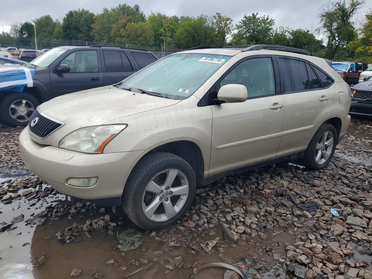 2007 LEXUS RX 350 | 2T2HK31U47C021705 | UPCARS