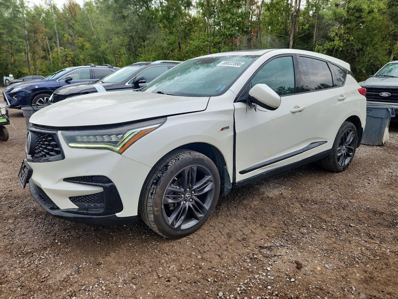 2019 ACURA RDX A-SPEC | 5J8TC2H63KL808113 | UPCARS