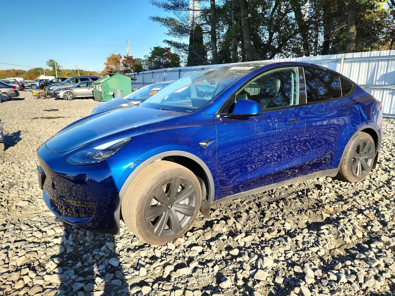 2024 TESLA MODEL Y | 7SAYGDED0RF095999 | UPCARS
