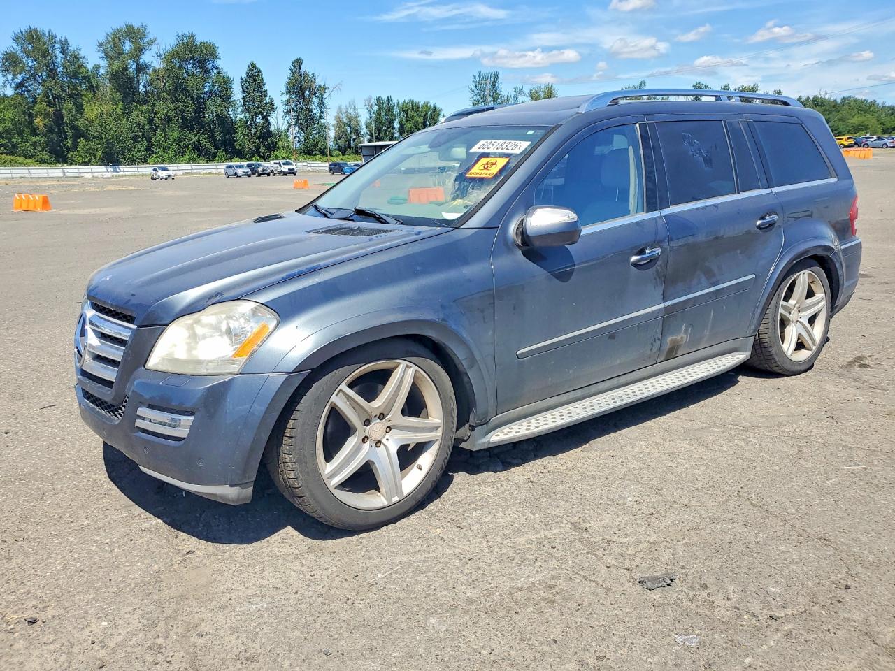 2010 MERCEDES-BENZ GL-CLASS 550 4MATIC | 4JGBF8GE6AA572298 | UPCARS