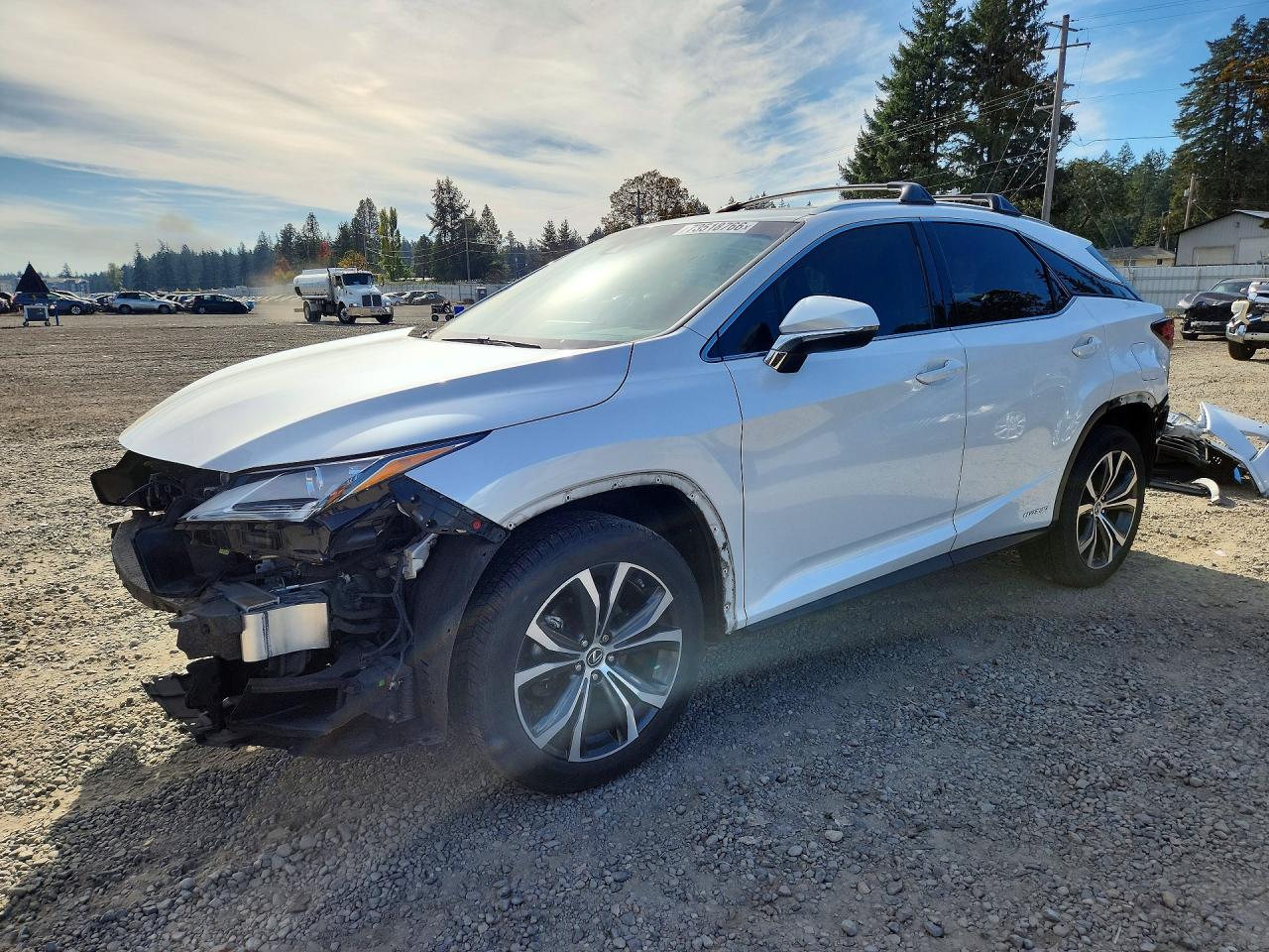 2019 LEXUS RX450 BASE | 2T2BGMCAXKC030904 | UPCARS