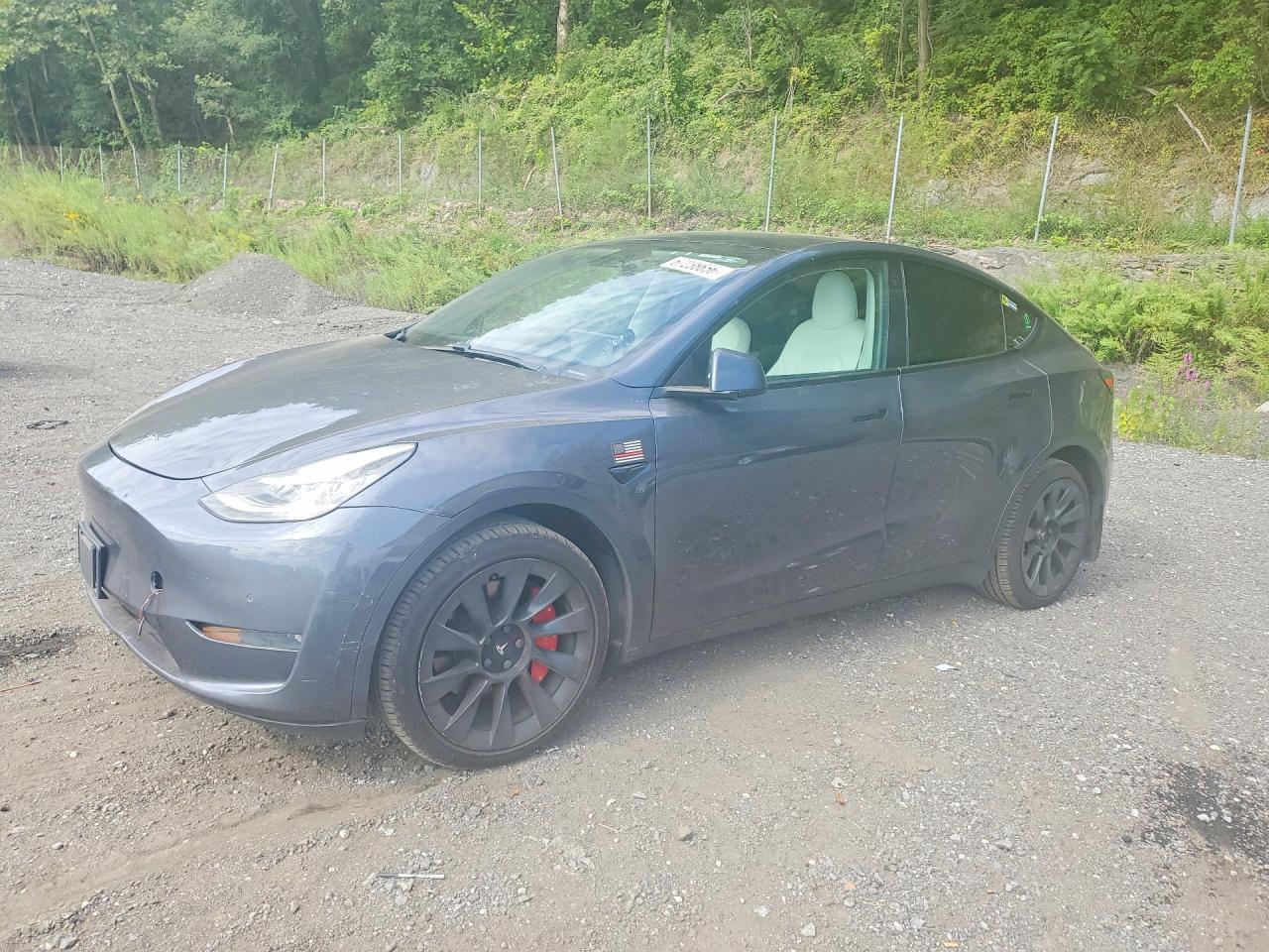 2020 TESLA MODEL Y | 5YJYGDEE9LF036236 | UPCARS