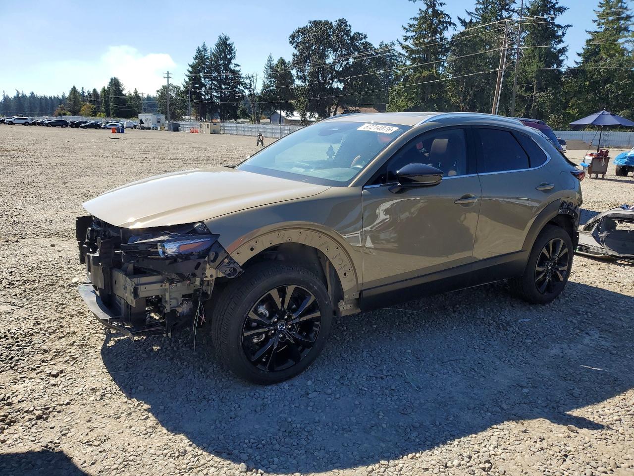 2024 MAZDA CX30 CARBON TURBO | 3MVDMBXY1RM668007 | UPCARS