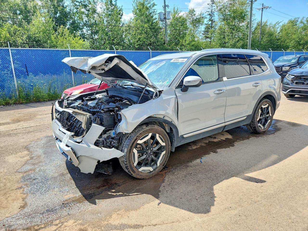 2024 KIA TELLURID EX | 5XYP3DGC2RG465318 | UPCARS