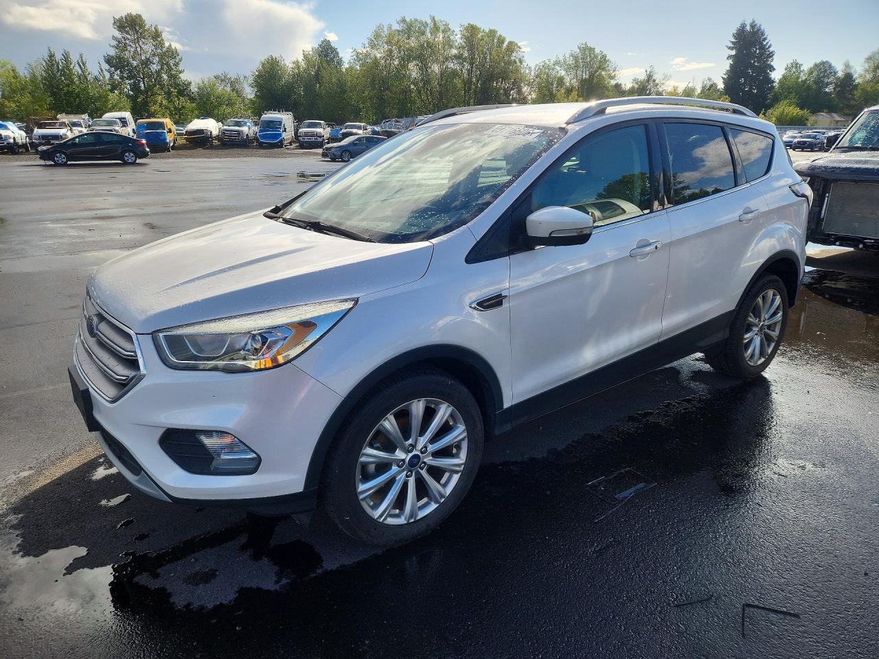 2017 FORD ESCAPE TITANIUM | 1FMCU0JD7HUE57746 | UPCARS