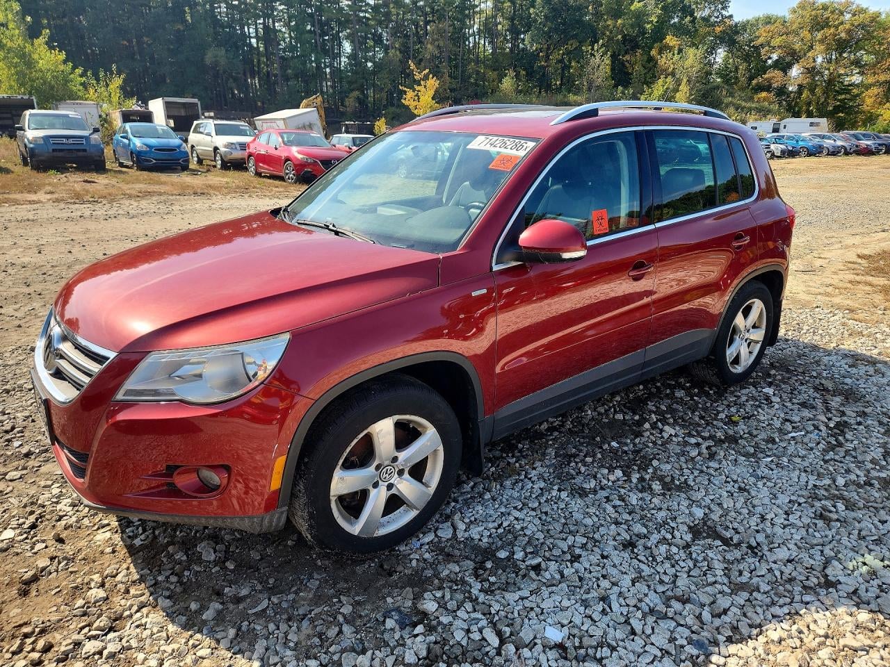 2010 VOLKSWAGEN TIGUAN SE | WVGBV7AX6AW002361 | UPCARS