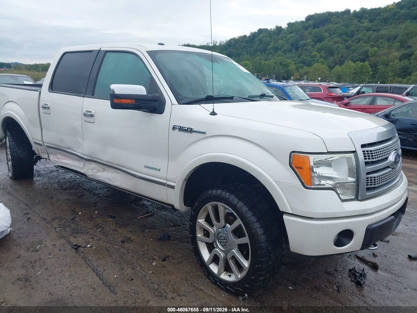2012 FORD F-150 PLATINUM | 1FTFW1ET5CFC30975 | UPCARS