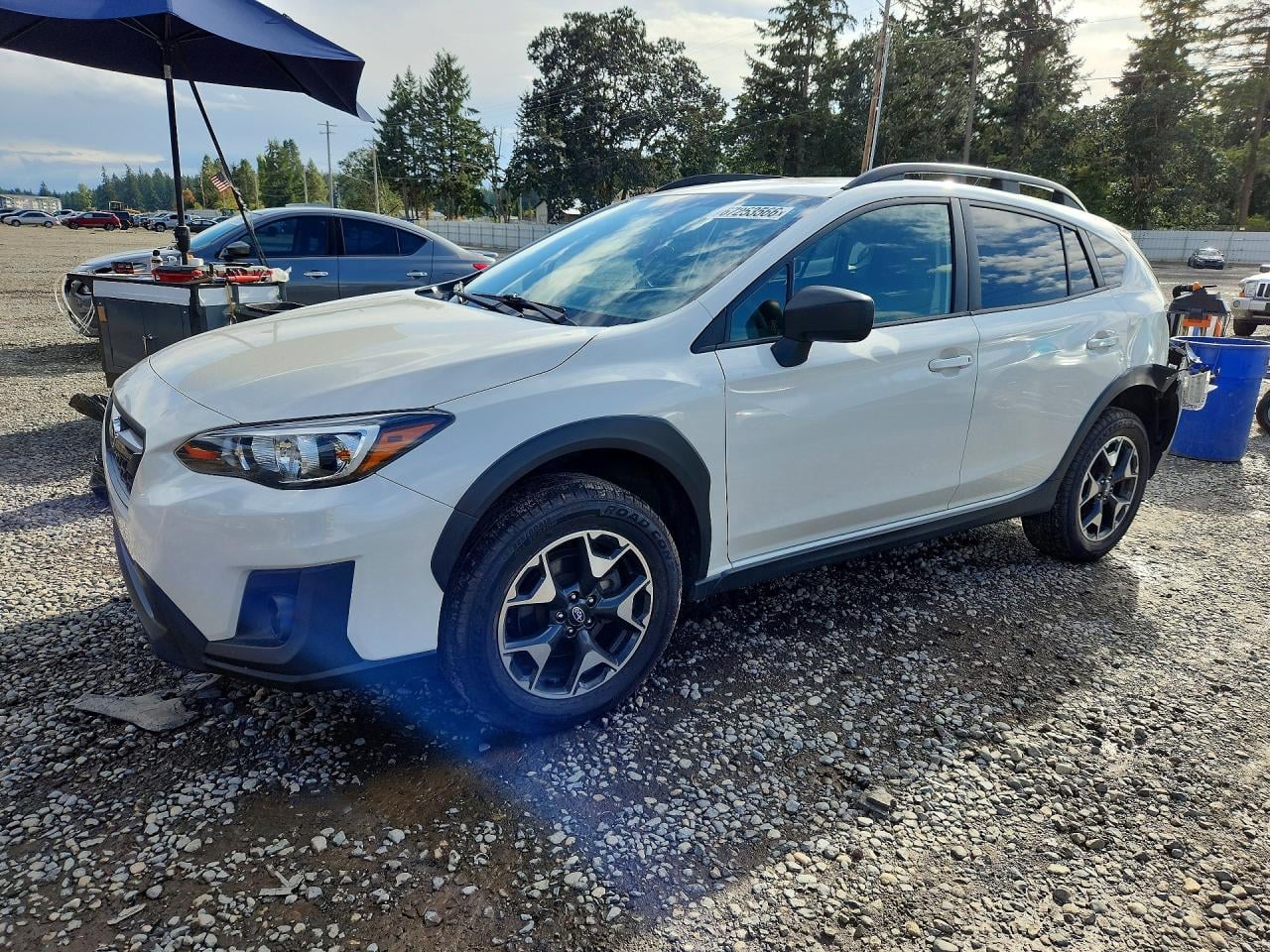 2019 SUBARU CROSSTREK | JF2GTABC3K8311348 | UPCARS