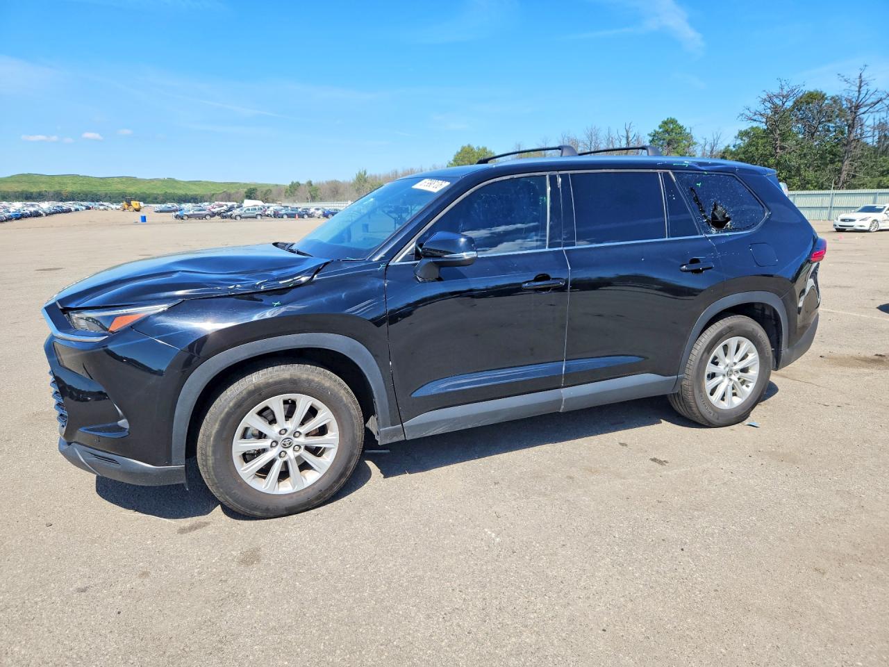 2025 TOYOTA ALL OTHER XLE | 5TDAAAB5XSS070802 | UPCARS
