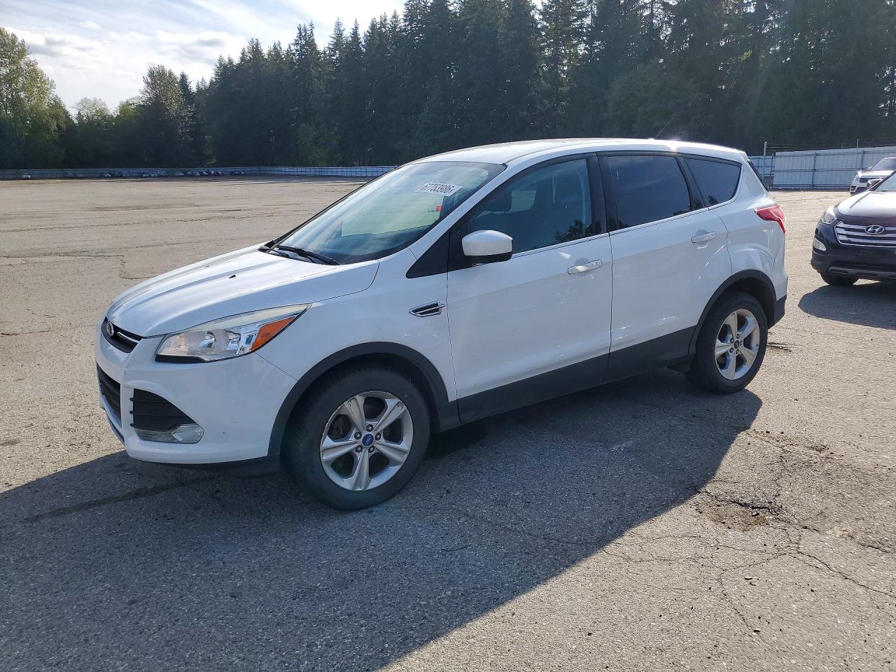 2013 FORD ESCAPE SE | 1FMCU0GX2DUC47051 | UPCARS