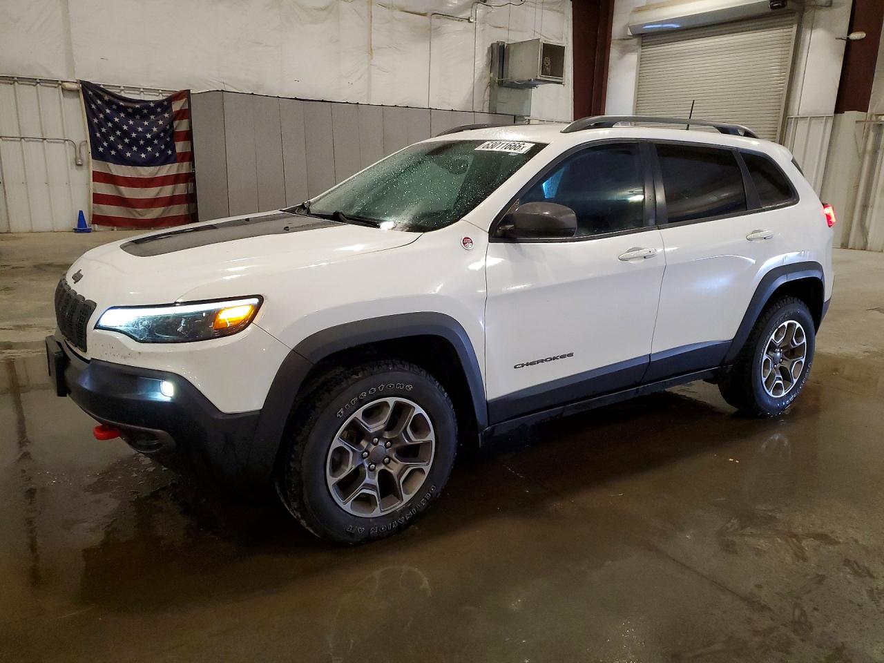 2020 JEEP CHEROKEE TRAILHAWK | 1C4PJMBN6LD623194 | UPCARS