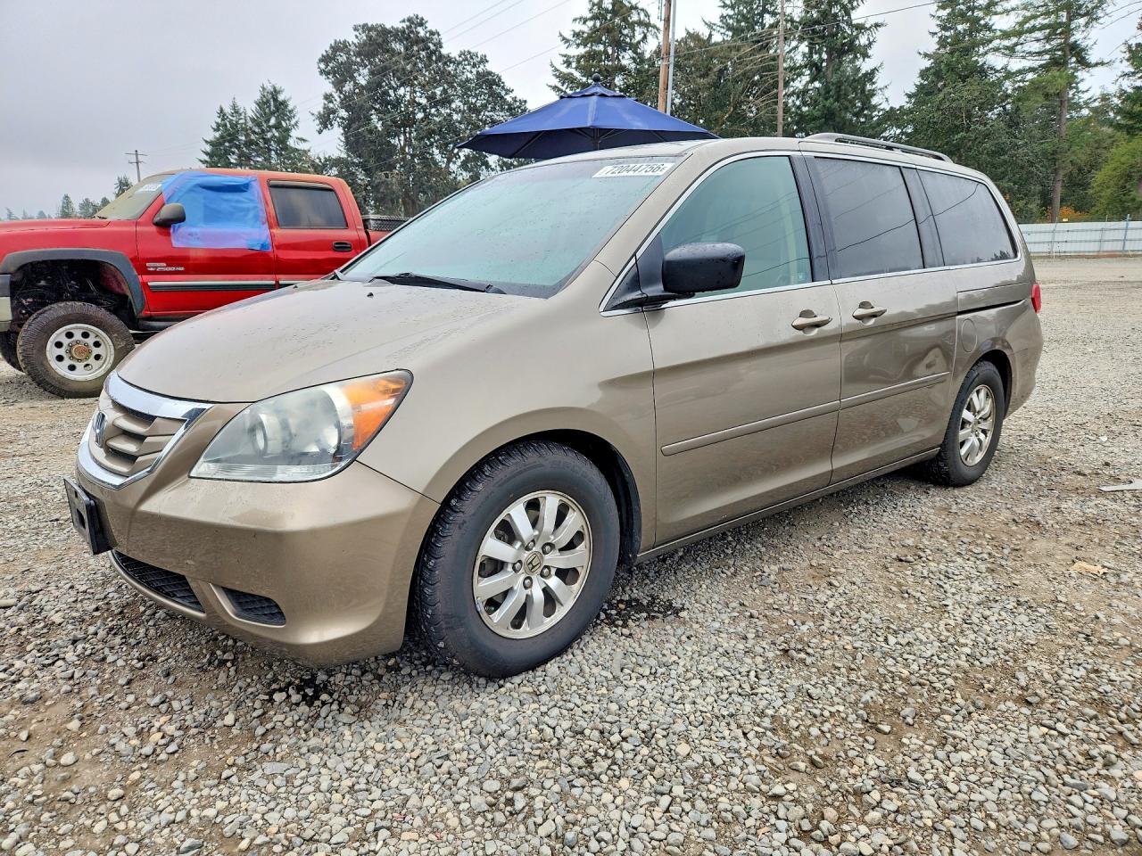 2009 HONDA ODYSSEY EXL | 5FNRL38719B052804 | UPCARS