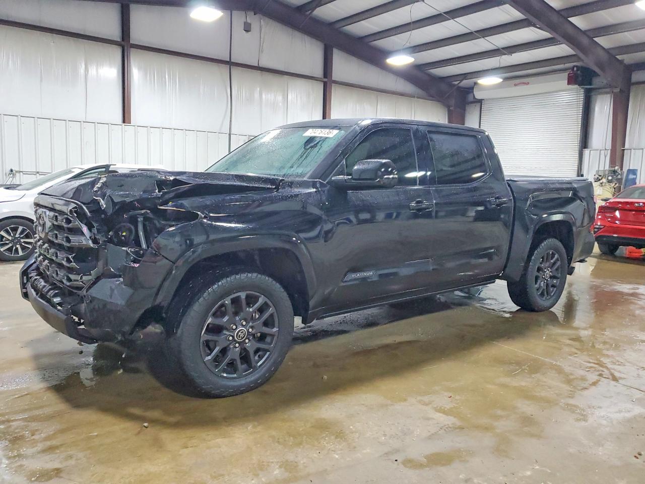 2023 TOYOTA TUNDRA PLATINUM | 5TFNA5DB9PX100711 | UPCARS