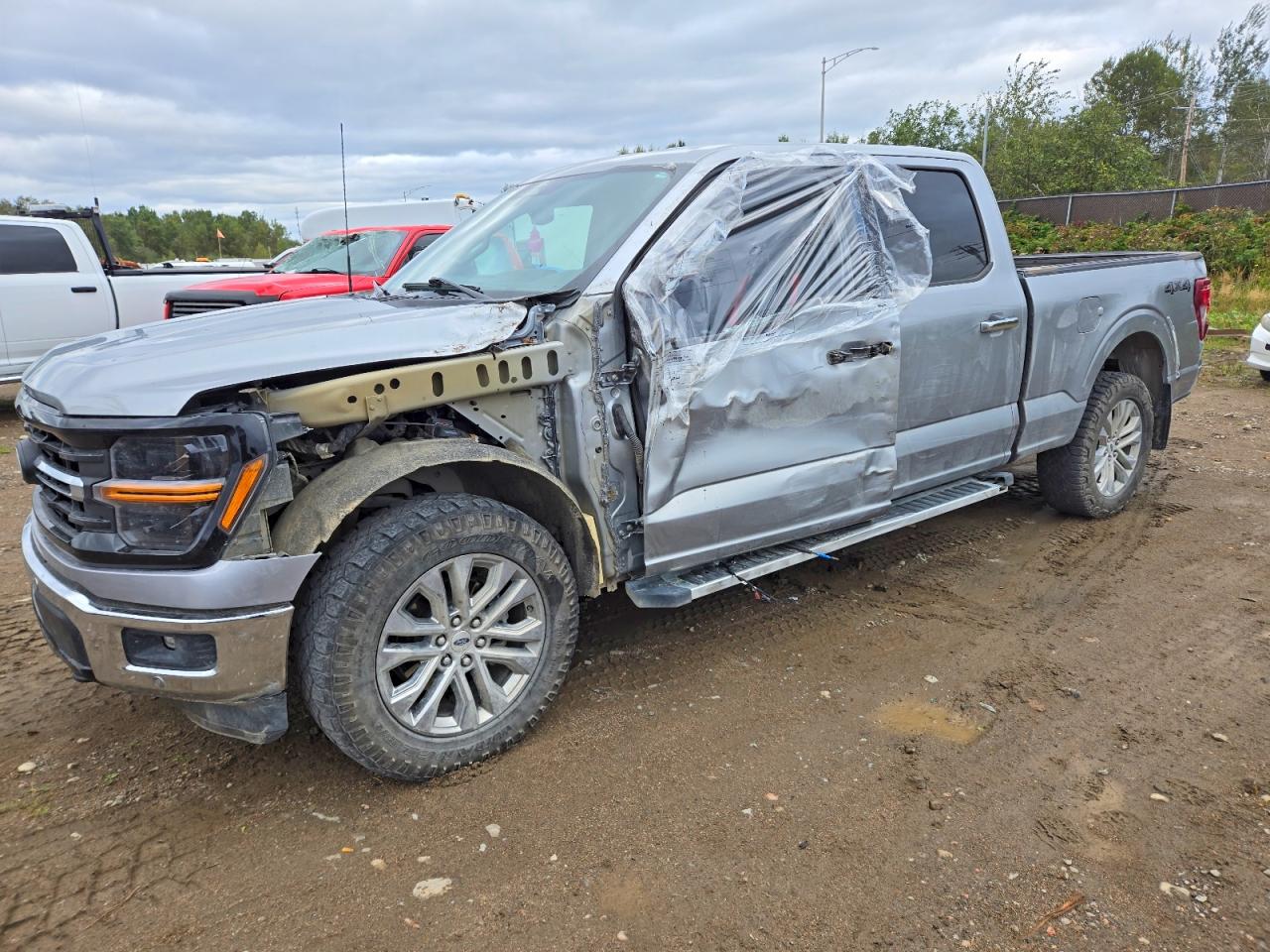 2024 FORD F150 XLT | 1FTFW3L85RKE50515 | UPCARS