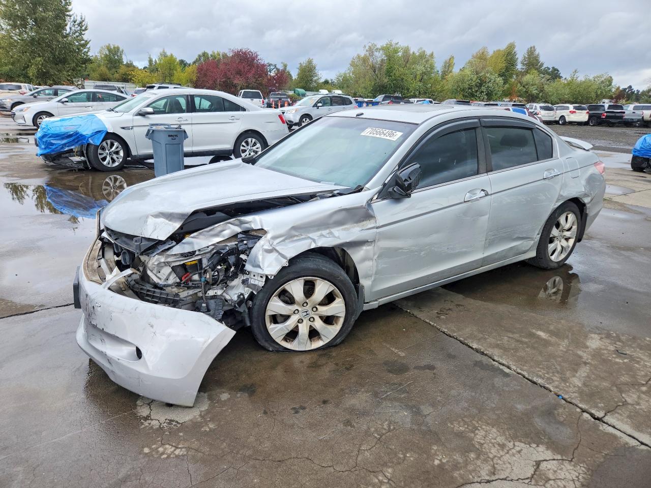 2010 HONDA ACCORD EXL | 1HGCP3F89AA000440 | UPCARS