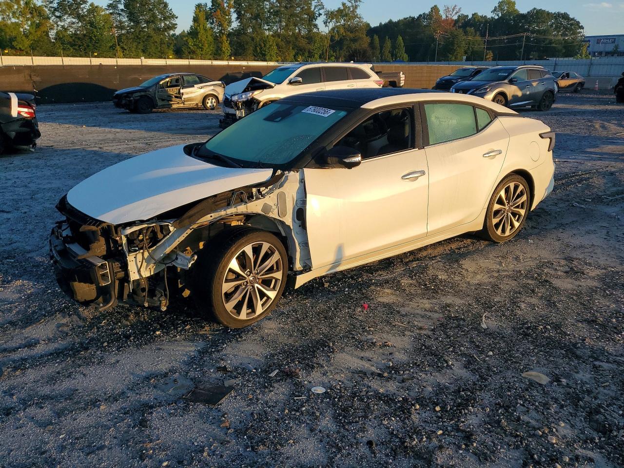 2019 NISSAN MAXIMA PLATINUM | 1N4AA6AV2KC380738 | UPCARS