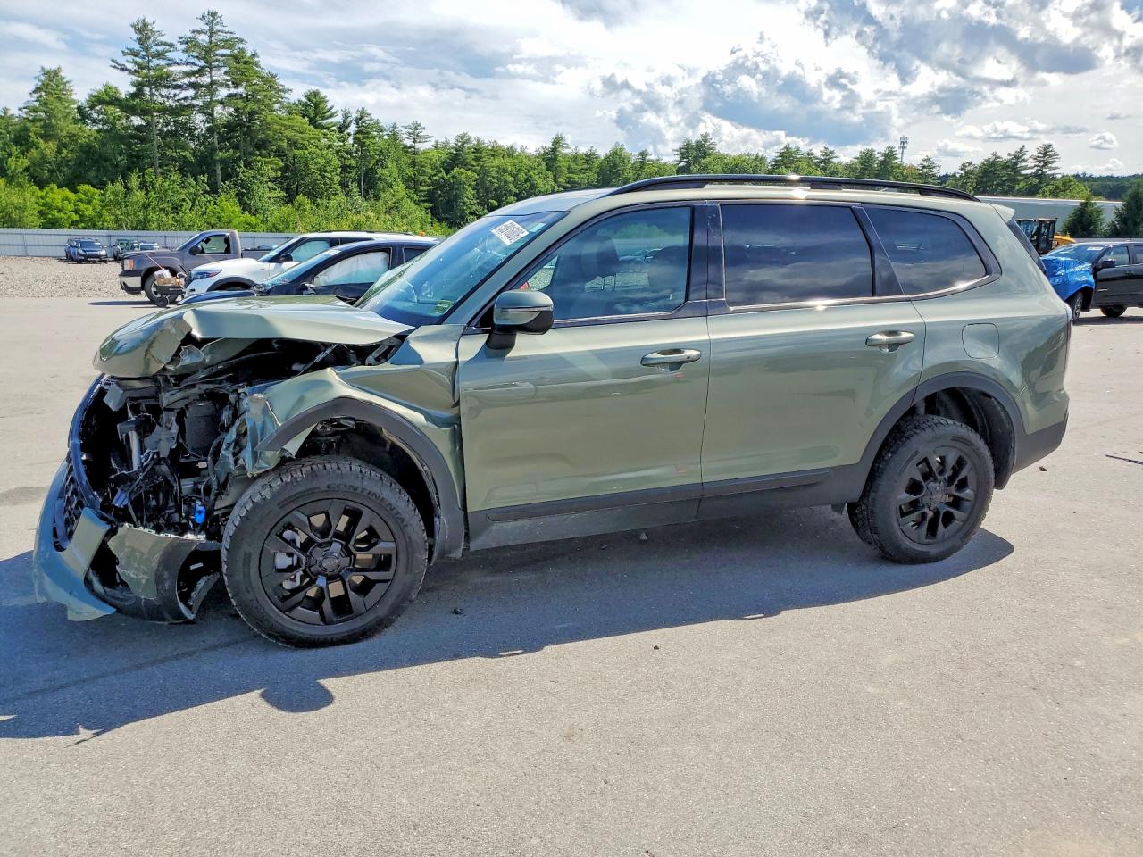 2025 KIA TELLURID EX X-PRO | 5XYP3DGC8SG678344 | UPCARS
