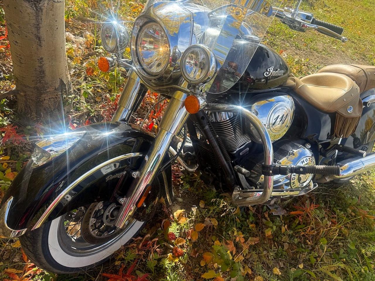 2014 INDIAN MOTORCYCLE CO. MOTORCYCLE VINTAGE | 56KCCVAAXE3318622 | UPCARS