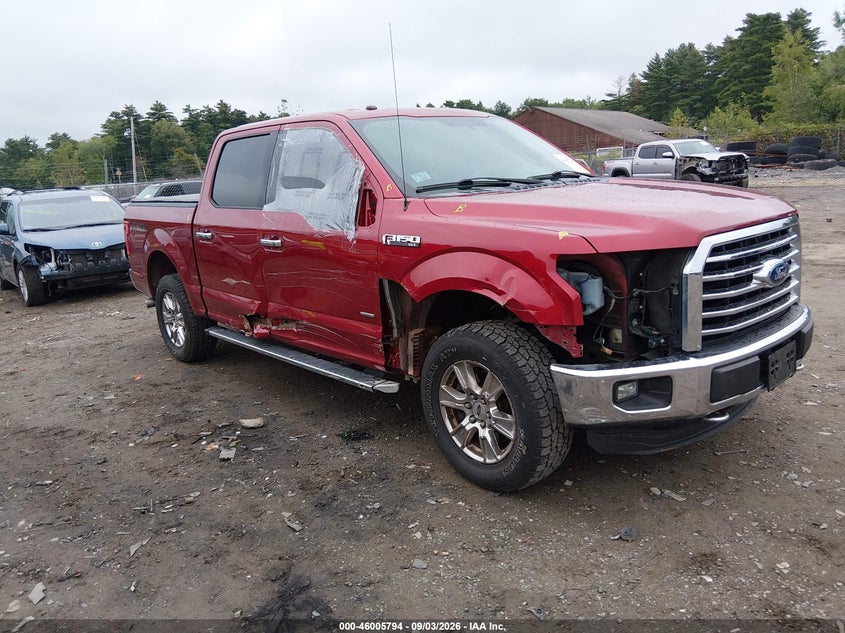 2016 FORD F-150 XLT | 1FTEW1EG5GFD28926 | UPCARS
