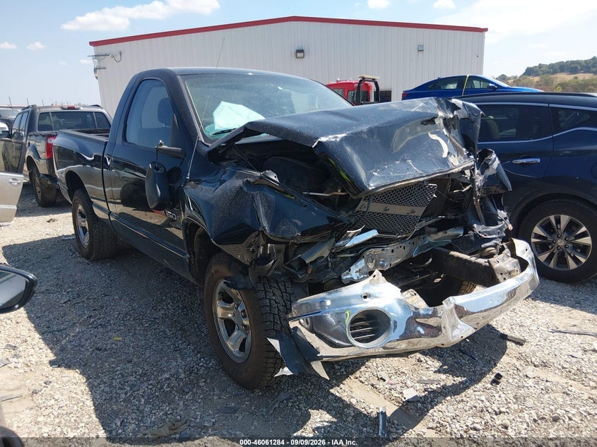 2002 DODGE RAM 1500 ST | 1D7HA16N22J250996 | UPCARS