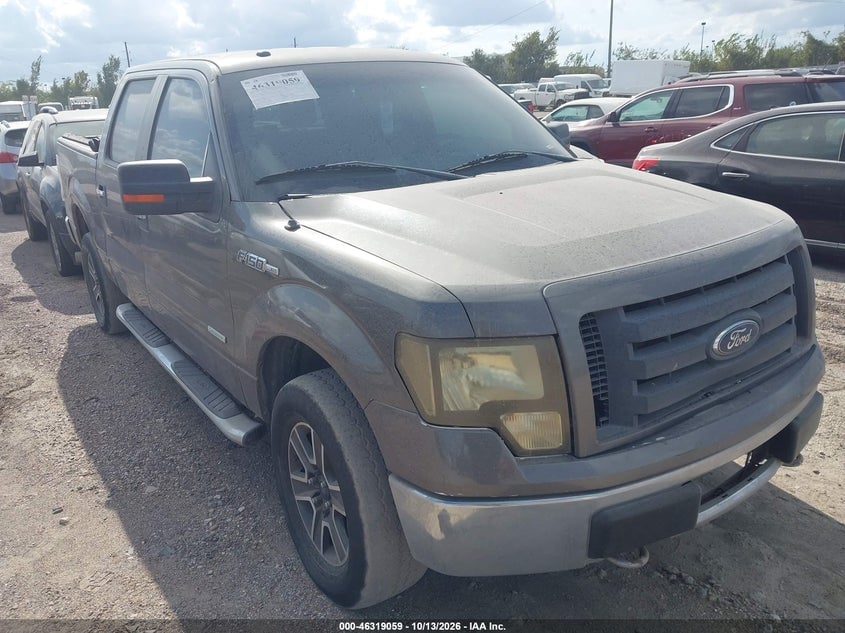 2013 FORD F-150 XLT | 1FTFW1ET5DKE63599 | UPCARS