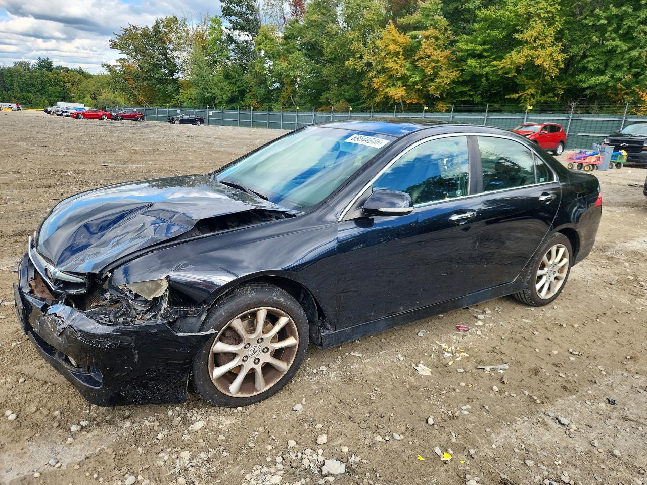 2006 ACURA TSX | JH4CL96946C031062 | UPCARS