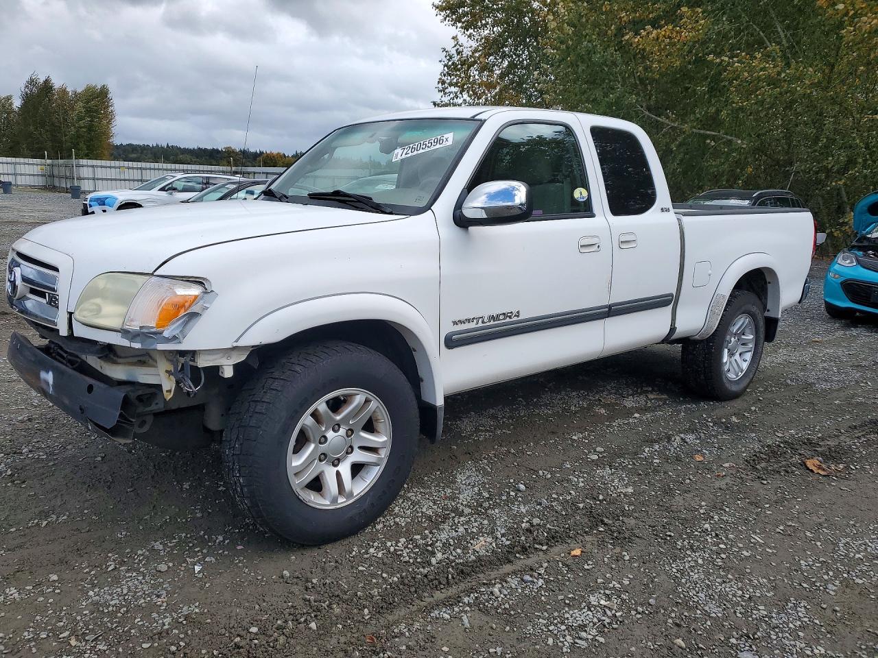 2006 TOYOTA TUNDRA SR5 | 5TBBT44196S473842 | UPCARS