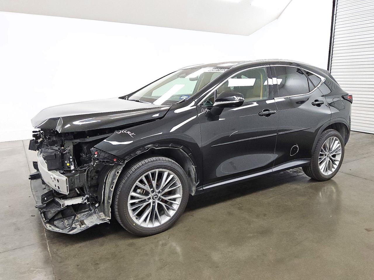 2025 LEXUS NX LUXURY | 2T2HKCEZ1SC050223 | UPCARS