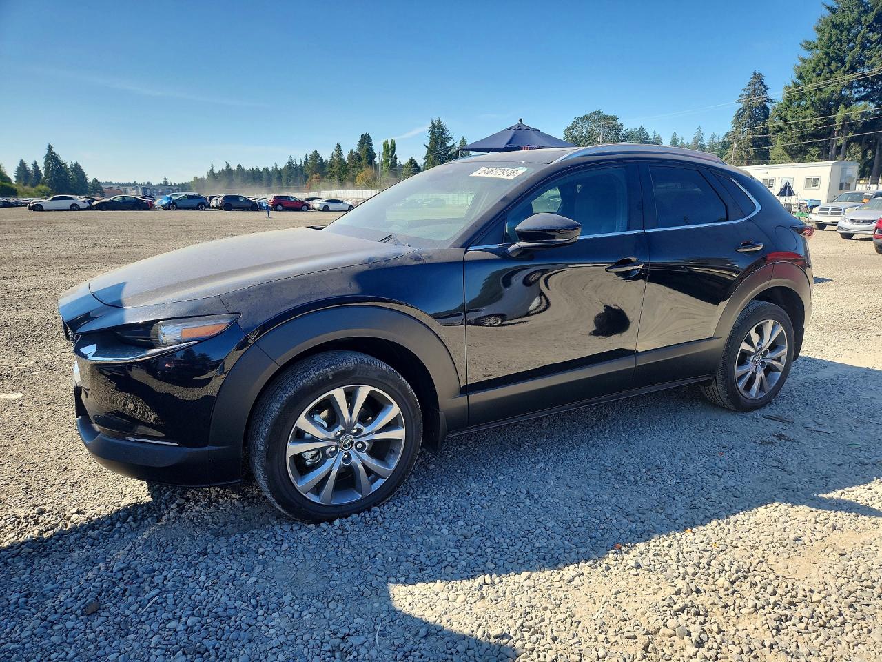 2025 MAZDA CX30 PREFERRED | 3MVDMBCM3SM796466 | UPCARS