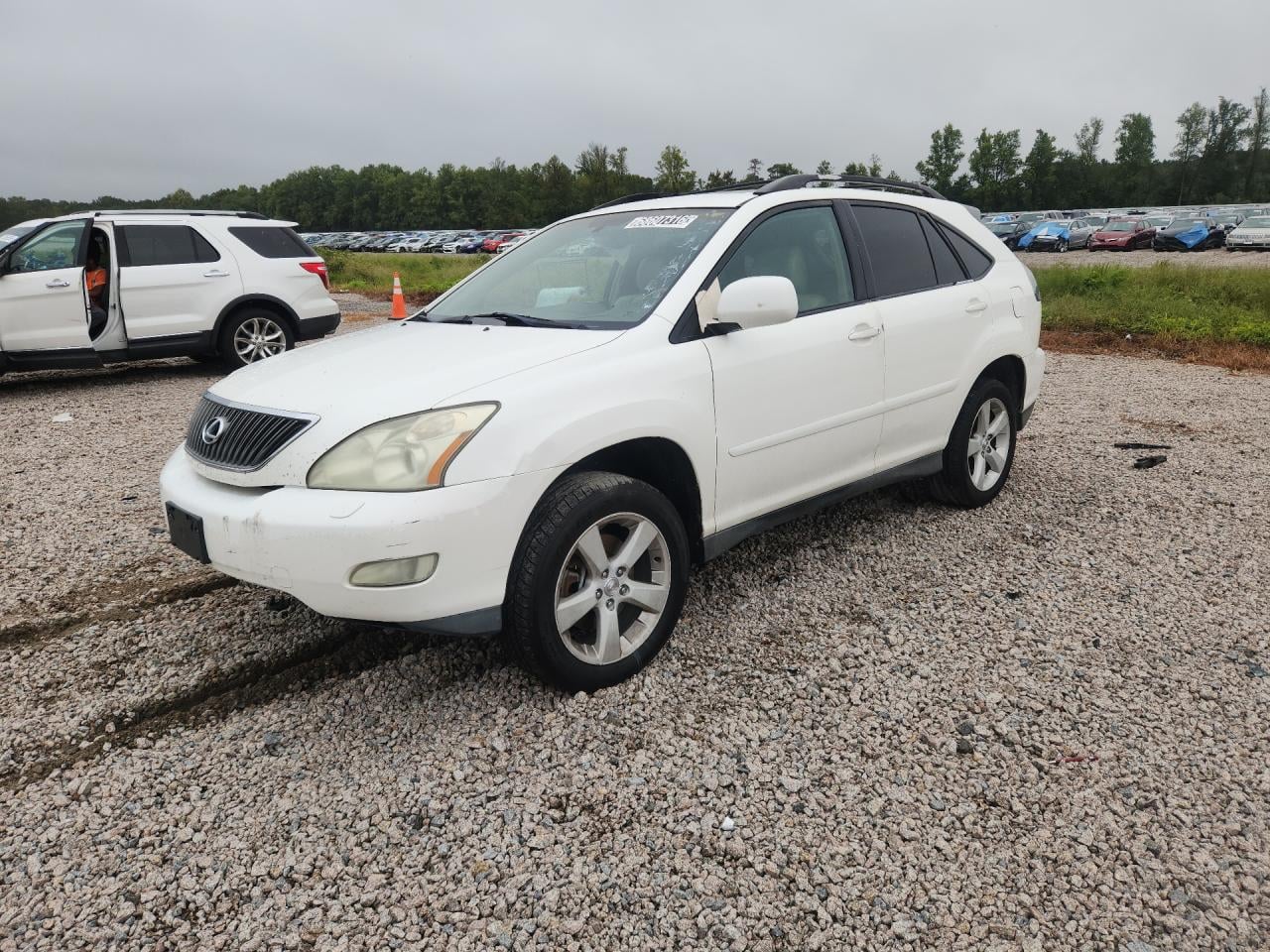 2004 LEXUS RX 330 | 2T2HA31U64C017556 | UPCARS