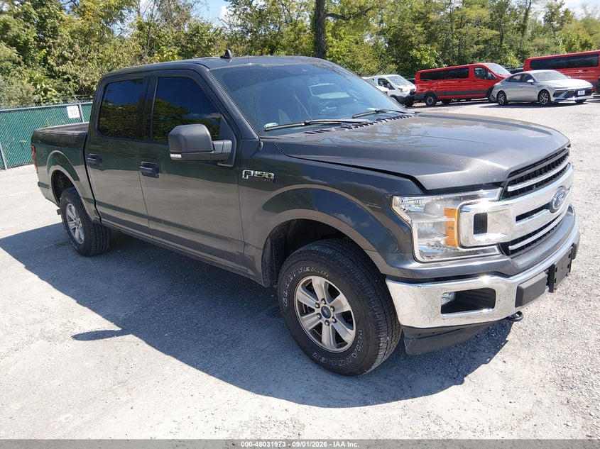 2019 FORD F-150 XL/XLT | 1FTEW1EB6KKE67225 | UPCARS
