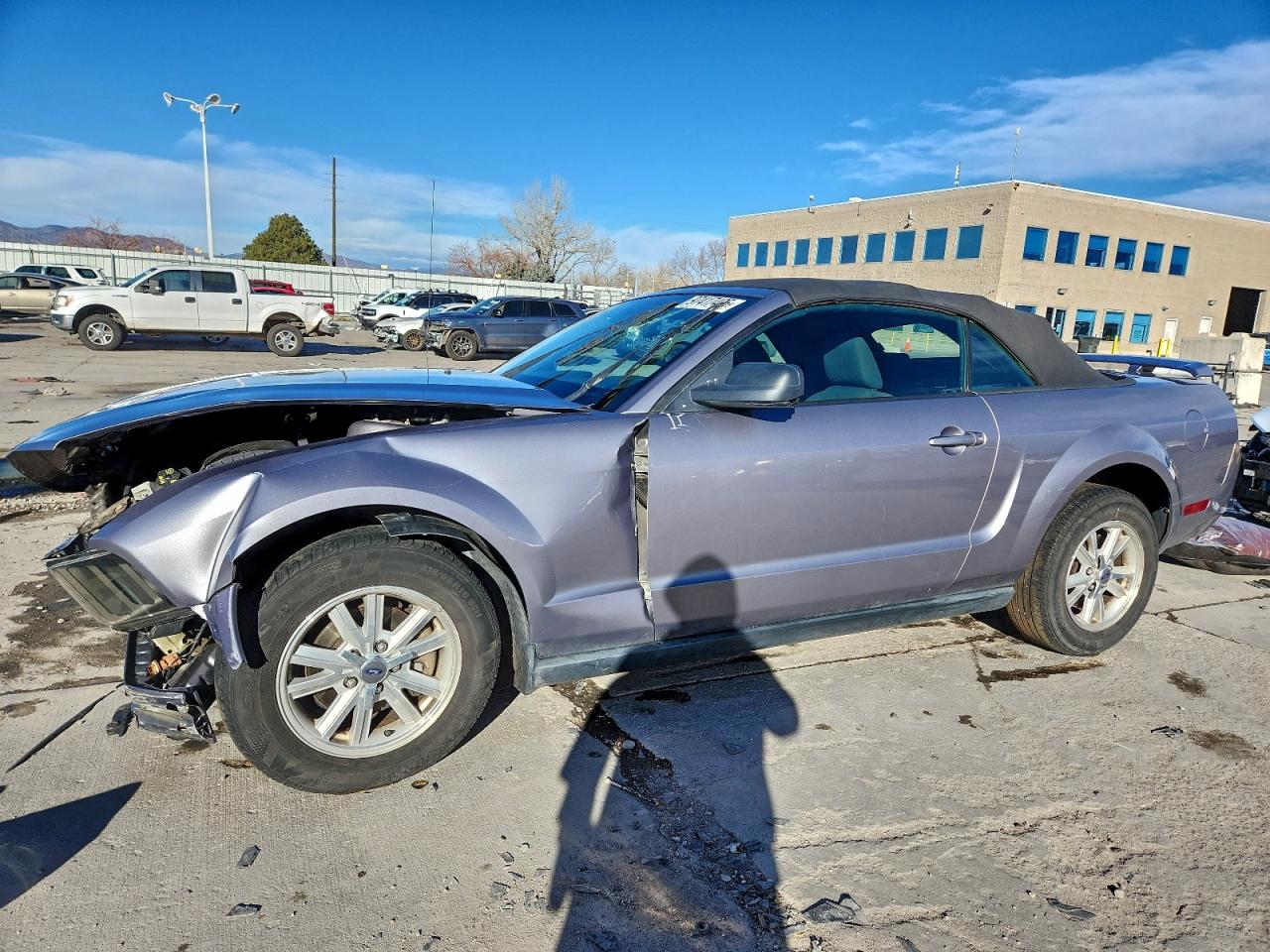 2006 FORD MUSTANG | 1ZVFT84N065220270 | UPCARS