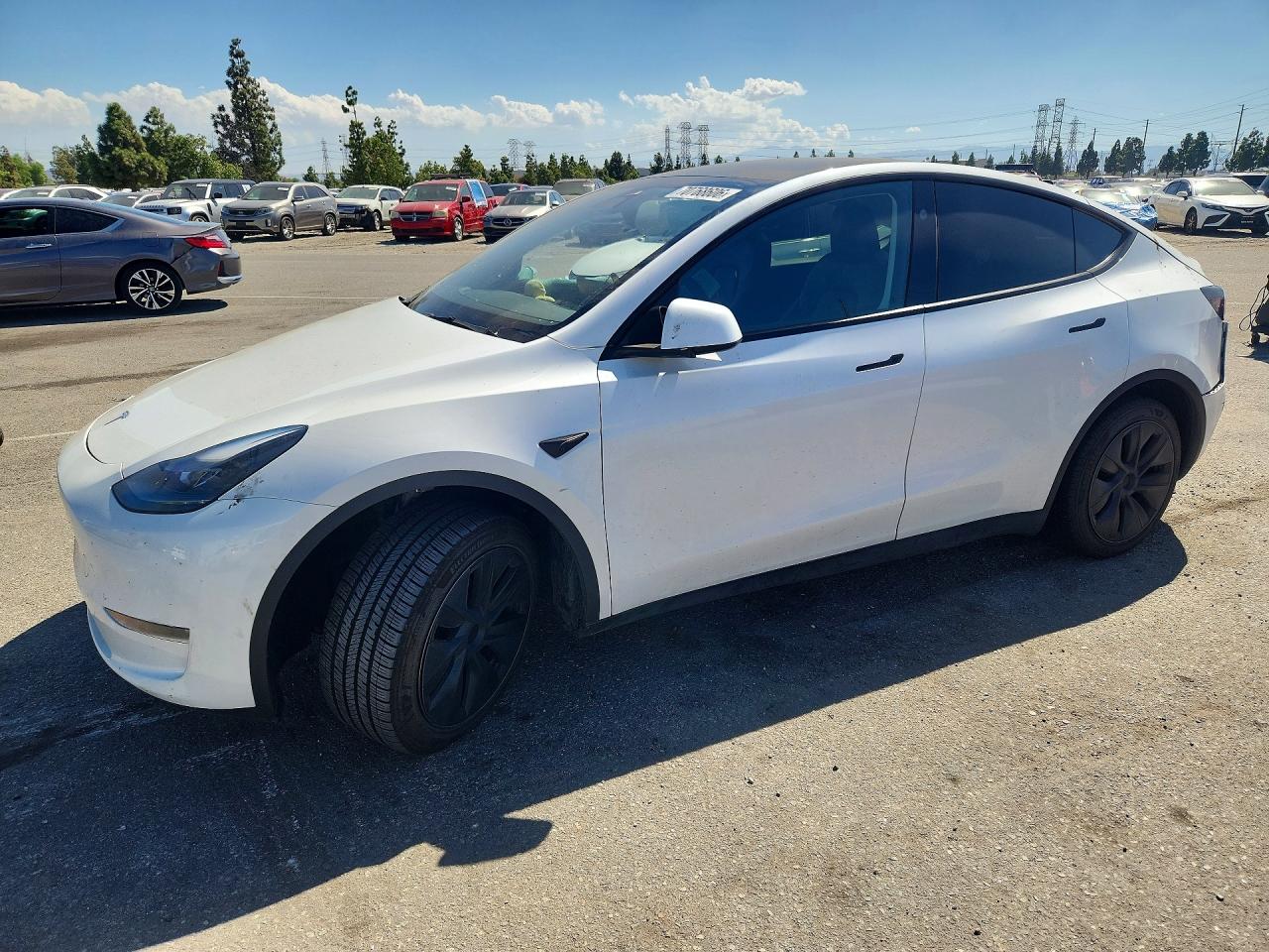 2024 TESLA MODEL Y | 7SAYGDEE8RF114582 | UPCARS