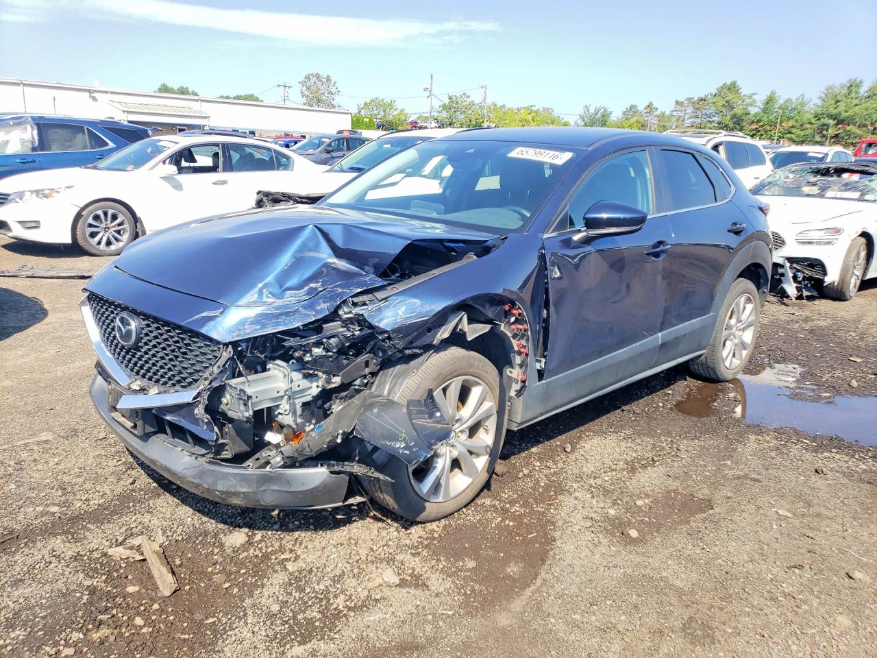2022 MAZDA CX30 SELECT | 3MVDMBBL7NM452796 | UPCARS