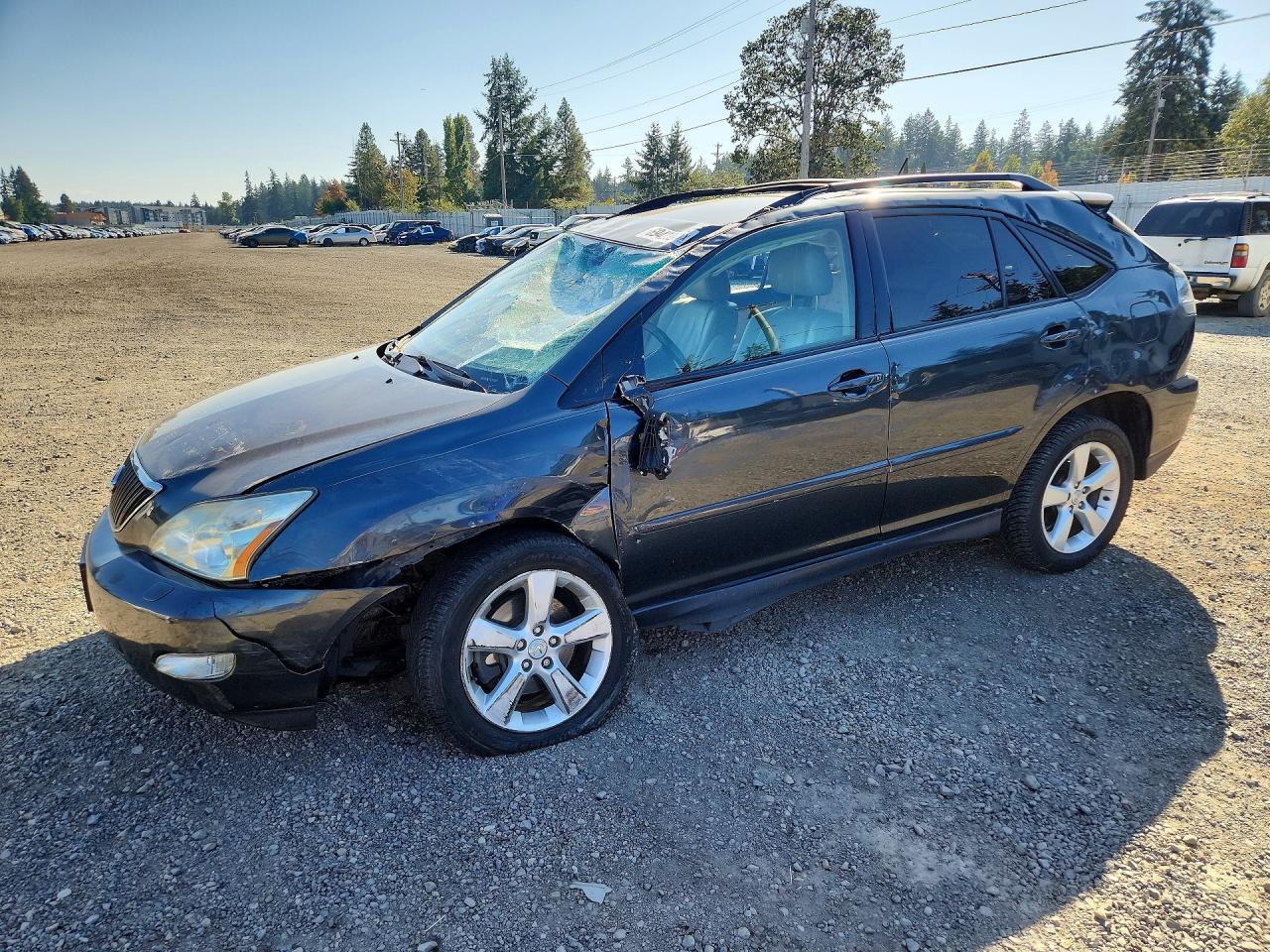 2006 LEXUS RX 330 | JTJHA31U060102679 | UPCARS