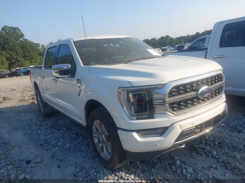 2021 FORD F-150 PLATINUM | 1FTFW1E82MFB74233 | UPCARS