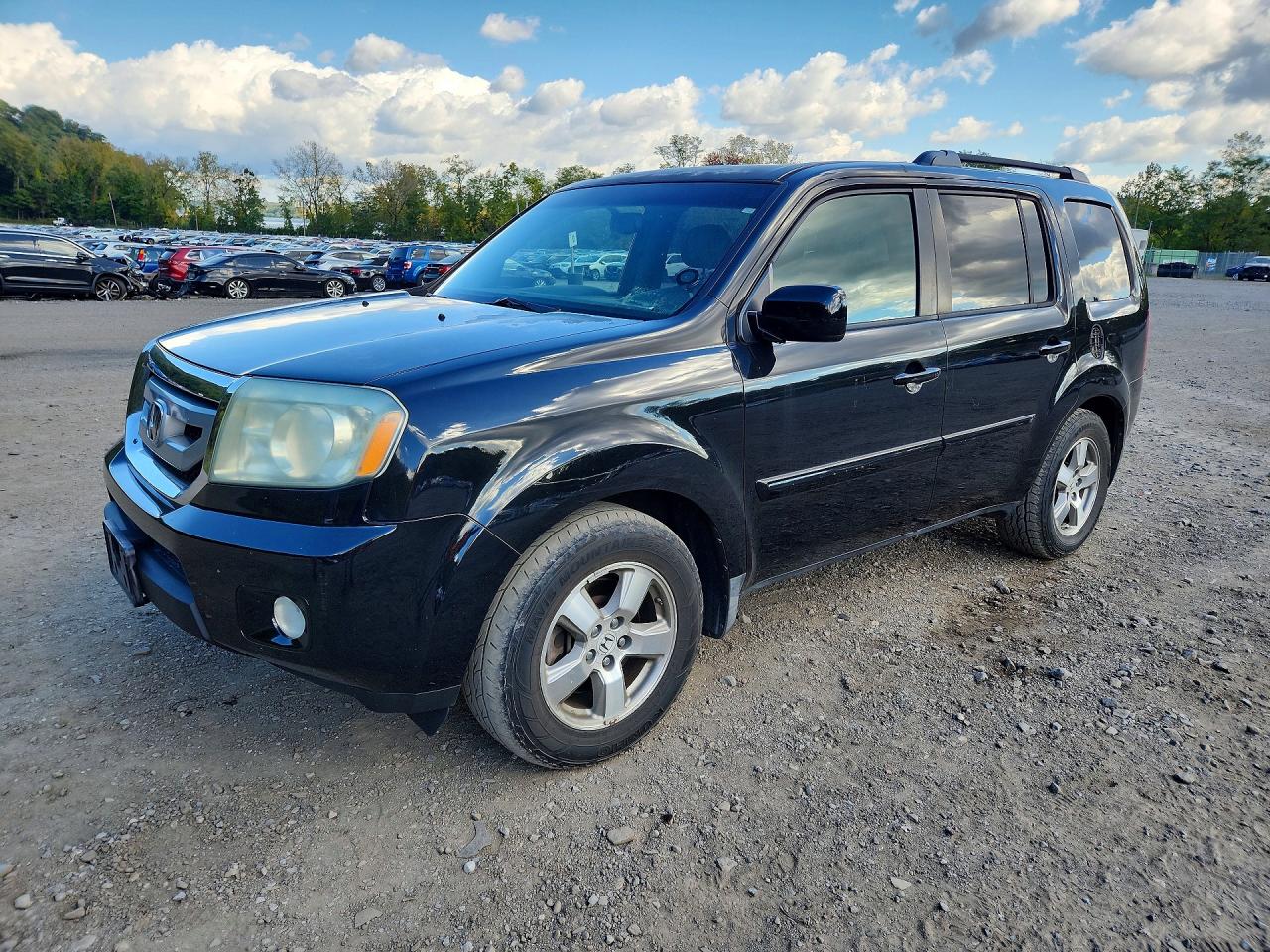 2010 HONDA PILOT EXL | 5FNYF4H51AB019751 | UPCARS