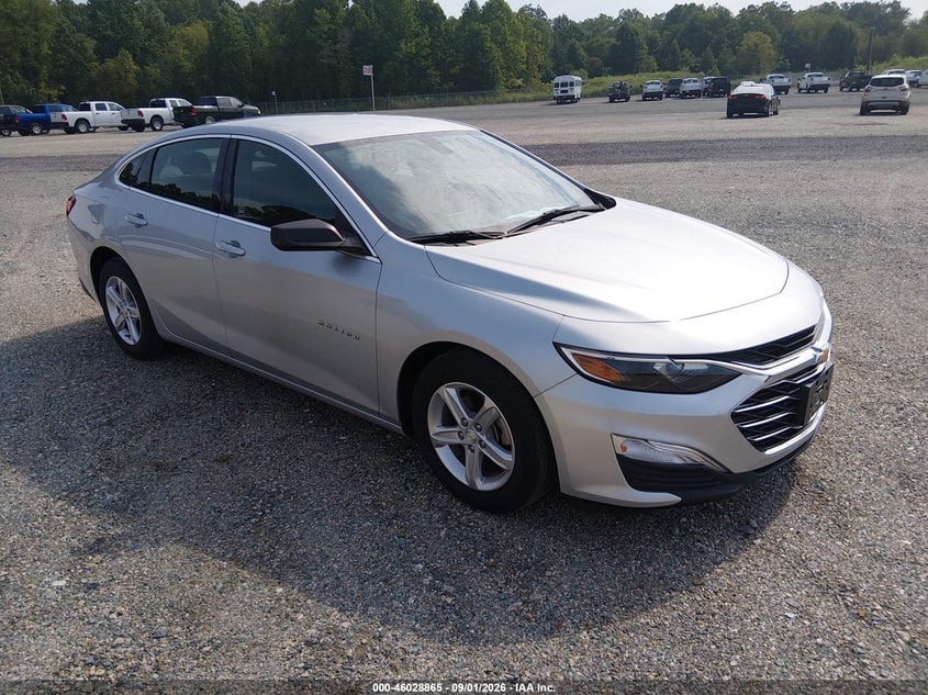 2019 CHEVROLET MALIBU 1FL | 1G1ZC5ST5KF208659 | UPCARS